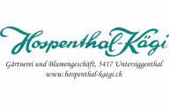 www.hospenthal-kaegi.ch