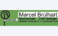 Marcel Brülhart
